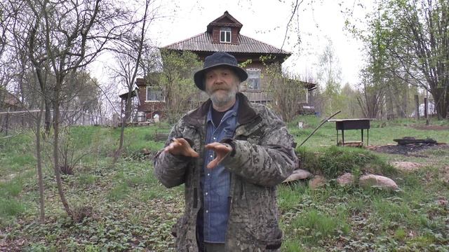 На селе у художника Владимира Фомичева