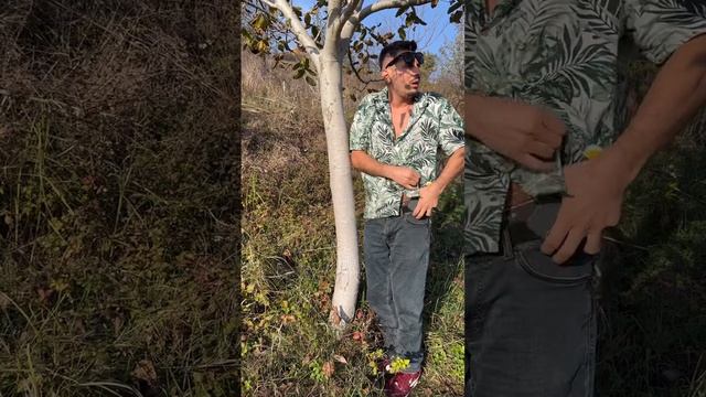 залип в мобиле