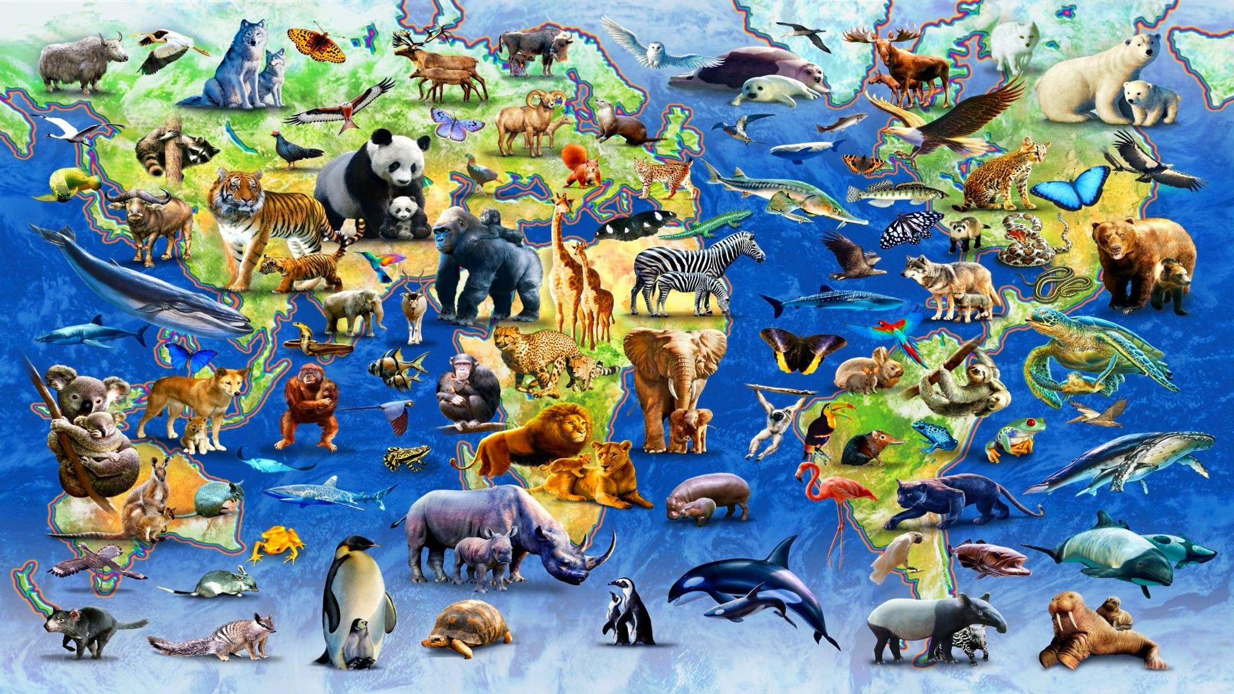 КРАСИВЫЕ ЖИВОТНЫЕ#Video Best of HD Vision Atmosphere#and MUSIC 02