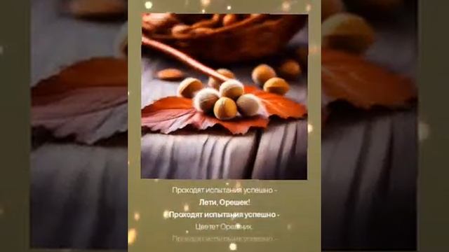 Цветёт Орешник - (быстро песня появилась)