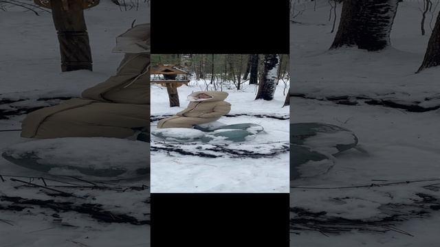 Где курочка?