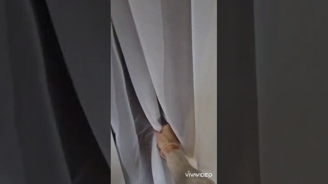 аренда 1к квартира ул. Летчика Филипова
