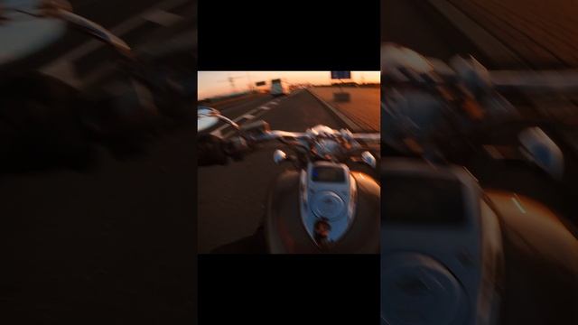 Полетели в закат