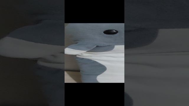 121