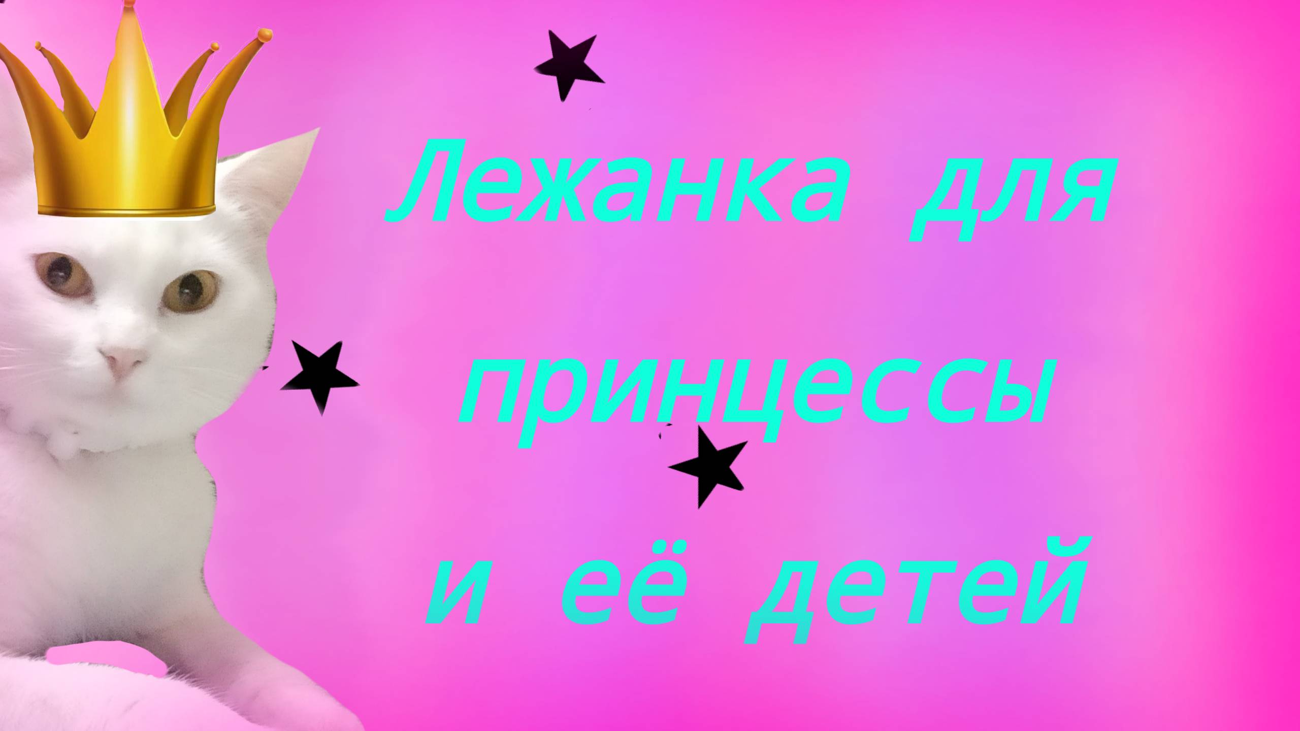 VID_20240213_165324