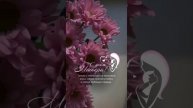 С Днём Матери! 💐 #24ноября #спраздникомвсехмам