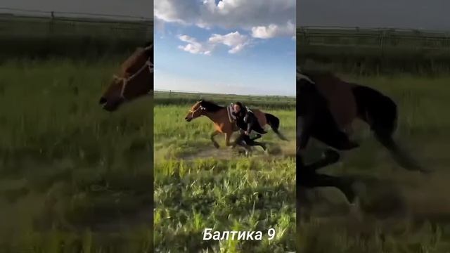 когда до закрытия осталось чуть чуть:)