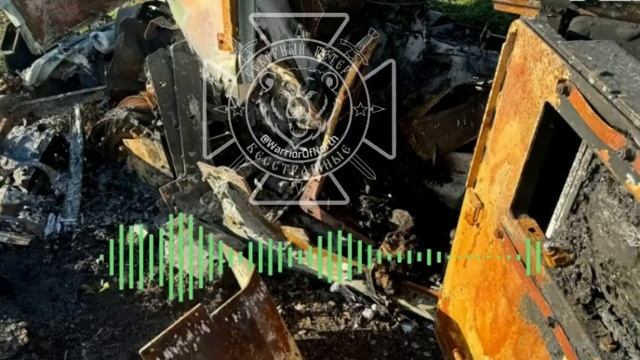 Радиоперехват террористов ВСУ.Командир ВСУ отдал приказ расстрелять 34 мирных жителя Курской области