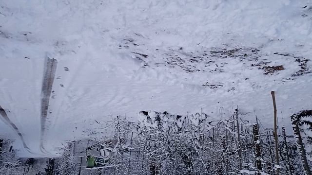 24-11-2024 первый снег