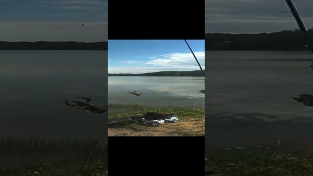 Случайный Рак на червя
