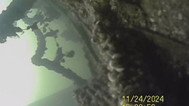 1000033433.mp4Волга гл.4м.24.11.2024г.