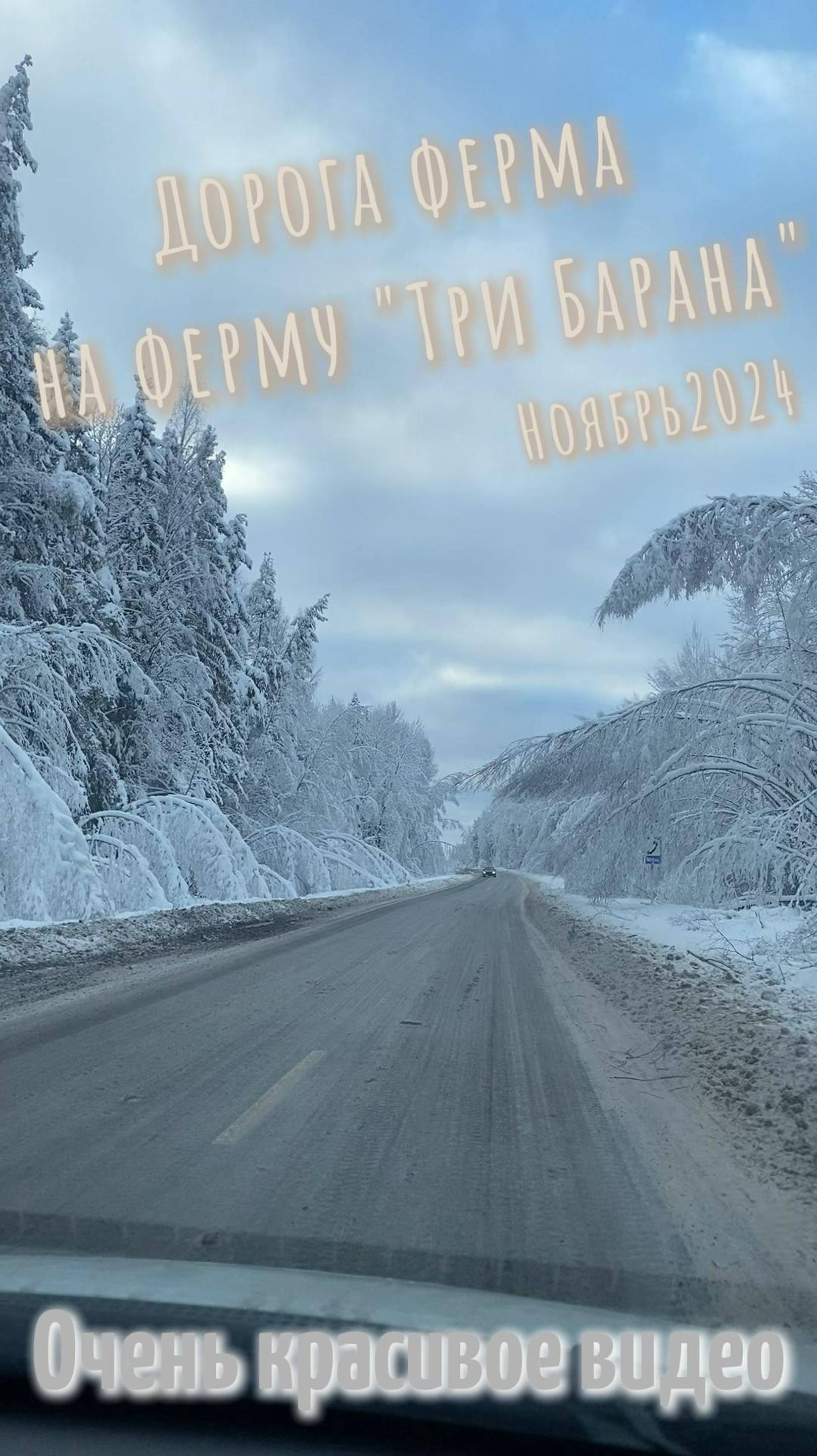 Первая метель на ферме. Дорога фермера