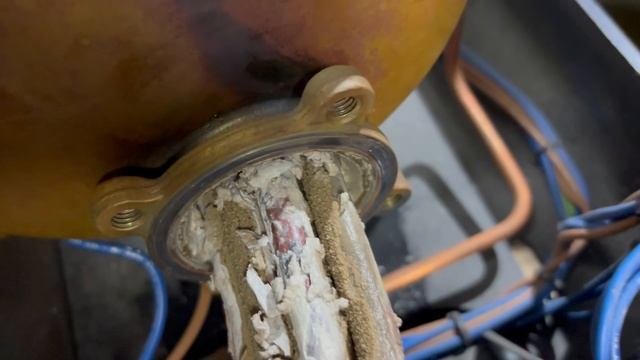 Когда не знал что кофемашину нужно обслуживать