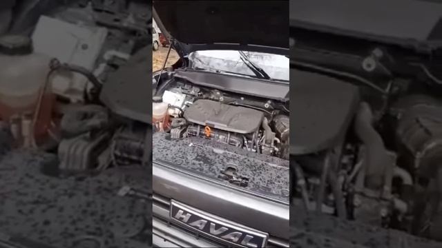 Строим дом своими руками!