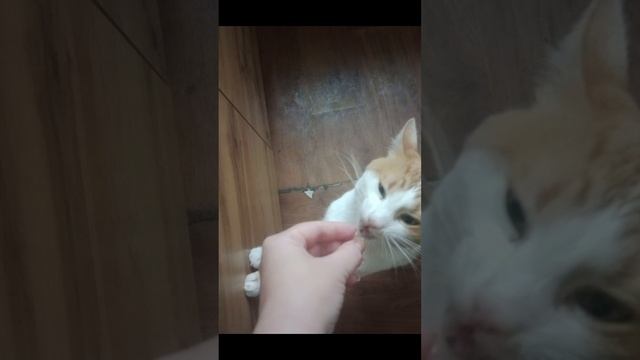 готовим дома😁