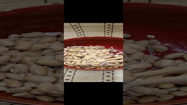 1000164275.mp4