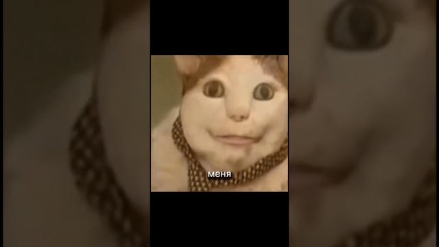 1000028592.mp4