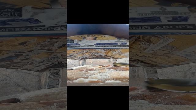 1000033291.mp4кормушка.24.11.2024г.
