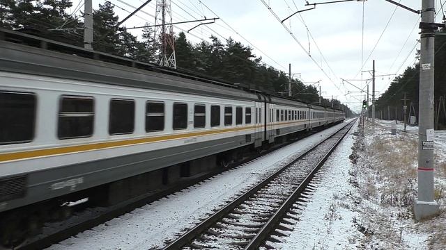 Электропоезд ЭД4М-0473 (ЦППК, ТЧПРИГ-20) пригородный поезд №6729/6730 Электрогорск - Лесной Городок.