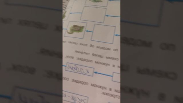 рассказываю про окружающий мир