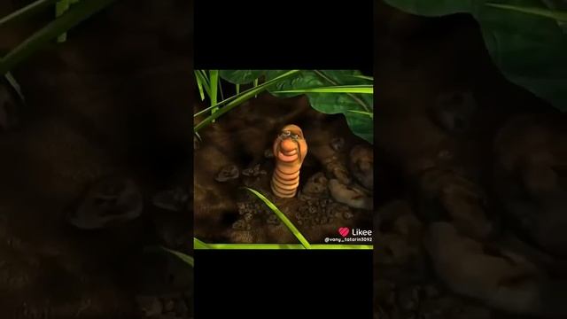 Like_7438286563484356683.mp4