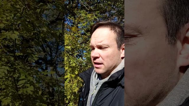 Про работу на удалёнке #юмор #пародия #шутка #прикол