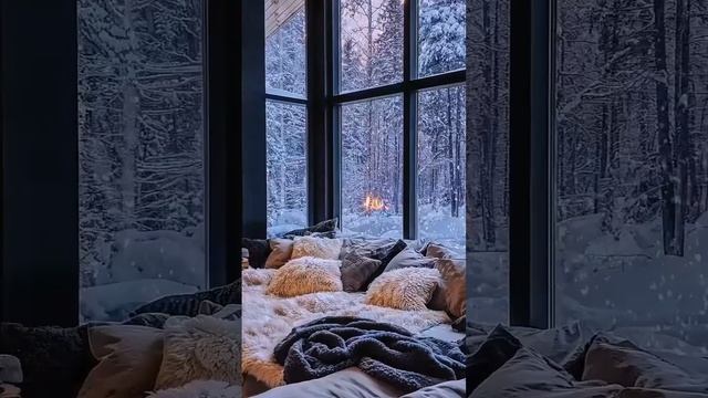 VID_20241124_152135_578.mp4