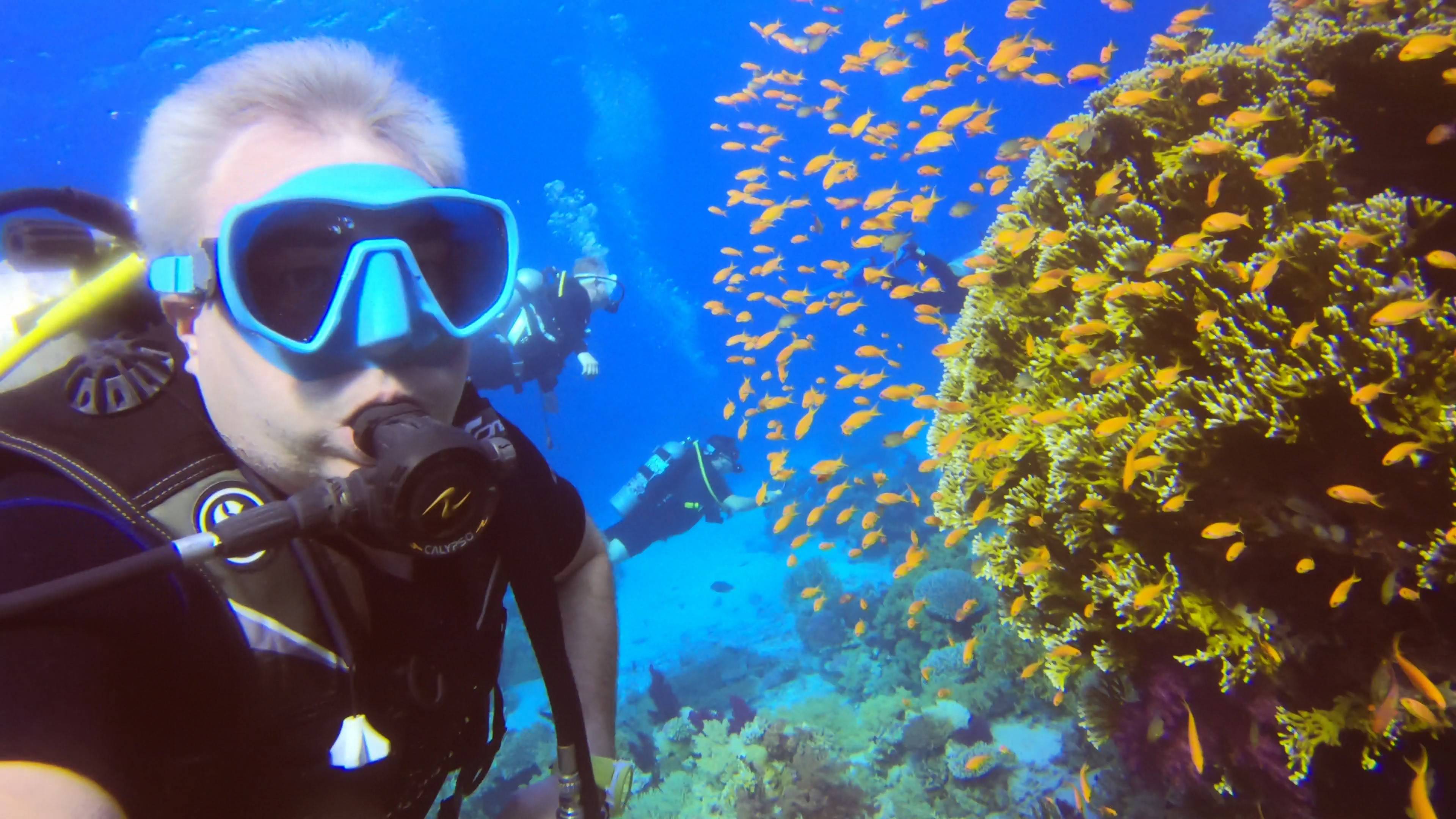 Дайв на рифы - Иоланда и Шарк риф 15.11.24!👌🐠🐡🦈🪸❤️💯💥