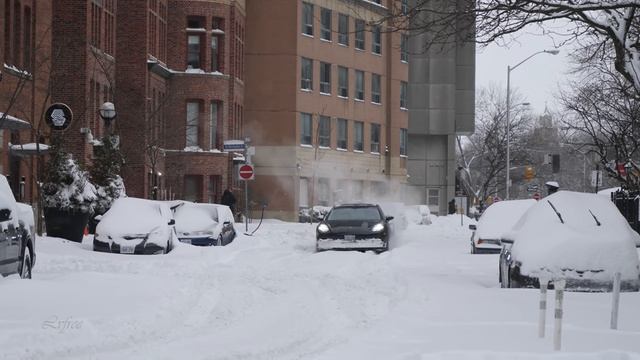 Огромная зимняя снежная буря в центре Торонто
