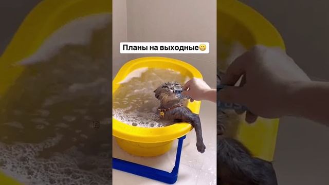 Выходные