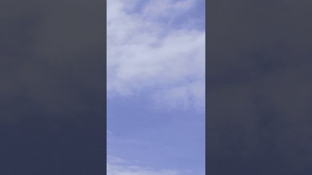 Видео № 5. Сторис Д.З