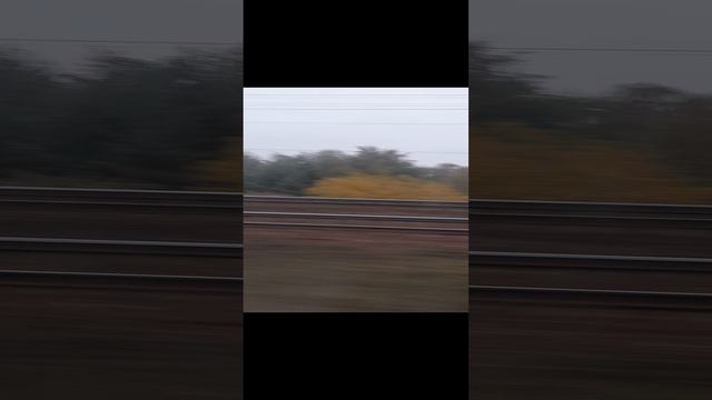1000030463.mp4ржд 24.11.2024г.