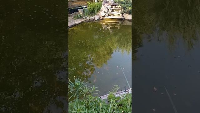 VID_20241124_103139_508