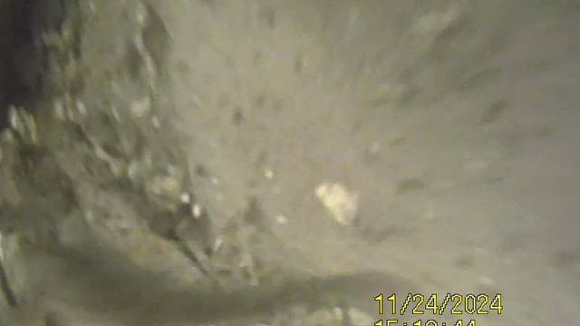 1000033435.mp4Волга гл.4м.24.11.2024г.