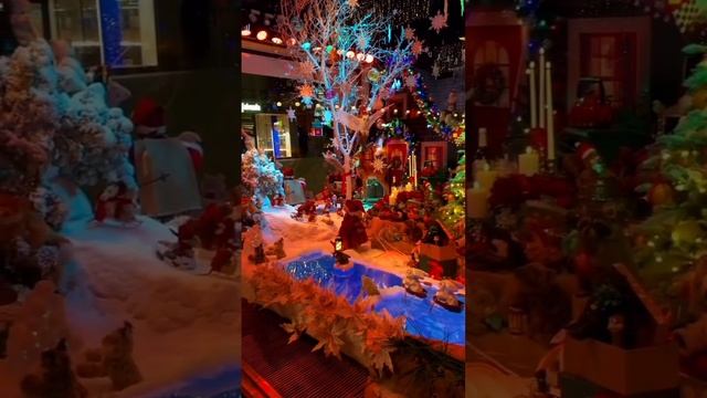 Открытие рождественской улицы в Хельсинки,  Финляндия
Opening of the Christmas street in Helsinki