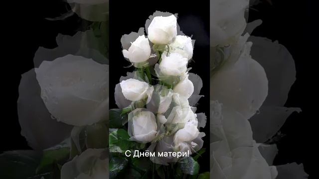 24-11-2024