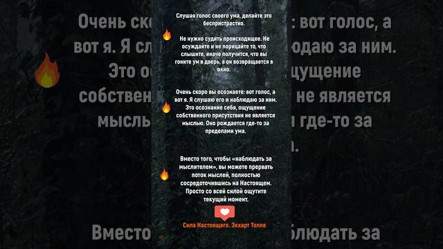 Цитаты | Сила Настоящего | Экхарт Толле. #мудрость #книги #философия #цитаты #момент #ЭкхартТолле