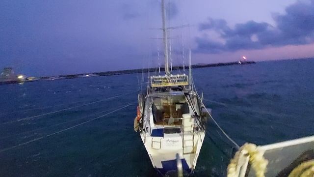 Ялта, набережная,  ноябрь