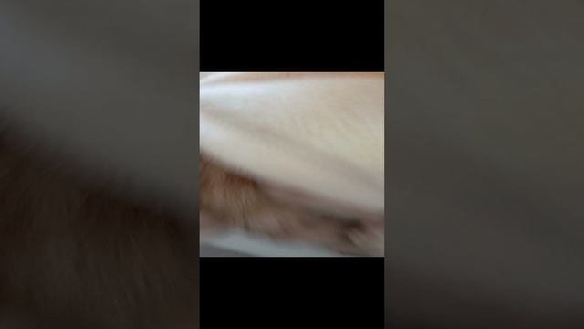 1000004463.mp4