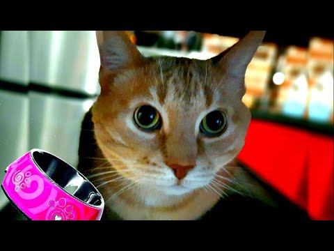 - Ой, ну с этим Скизи!  Вот так пойдешь ночью перекусить, весь дом знать будет!