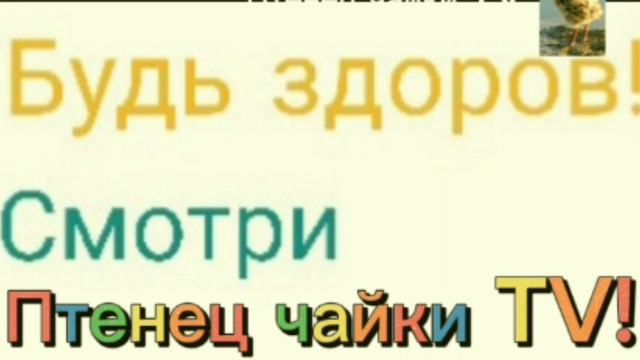 Заставка " Будь здоров" с Чайчонком.