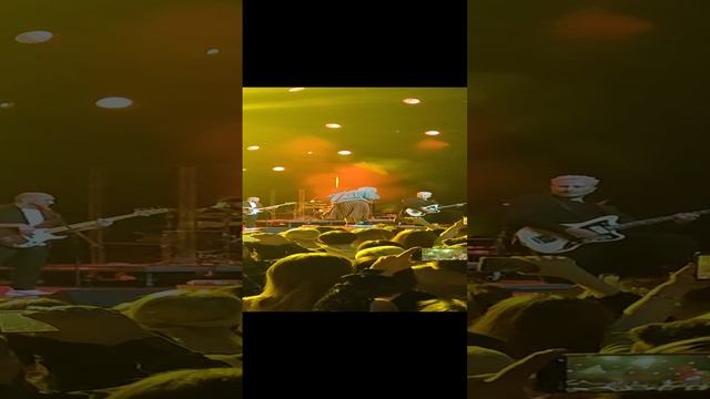 Рок-н-ролл. Мураками live (short)