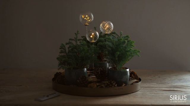 Шары на ножке Sirius | Wave Trio Inspiration | Holiday Tree