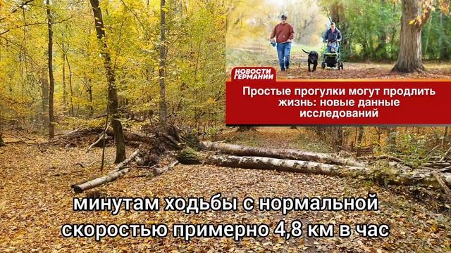 Простые прогулки могут продлить жизнь: новые данные исследований
