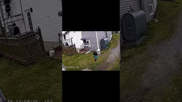 Рано или поздно, Стив кого-нибудь убьет.