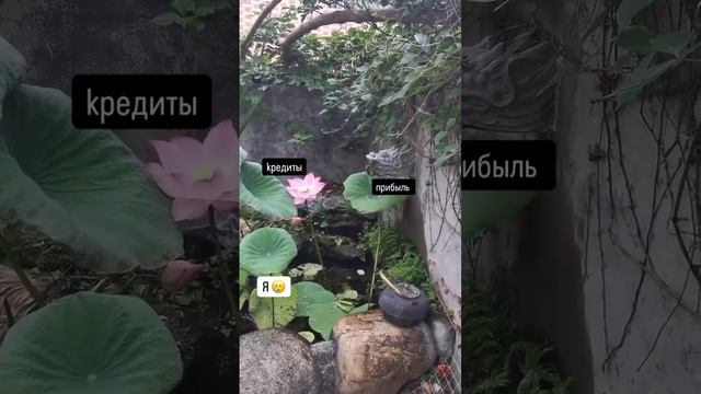 смотри мои актуальные "деньги" и "подарки" в инст и сразу увеличить свой доход #shorts