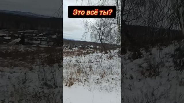 Это всё ты? #осознанность #пробуждение #просветление #бог #творец