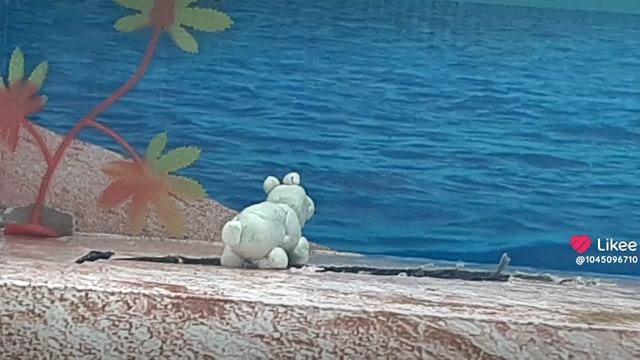медведи на белом свете
