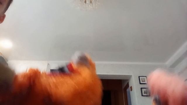 танцпол