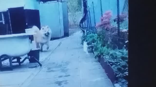нашь новый клип!!!! оцените в коммах